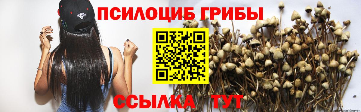 цена наркотик  Вход с VPN  Владикавказ  Псилоцибиновые грибы GOLDEN TEACHER  Галлюциногенные грибы GOLDEN TEACHER 